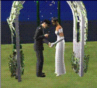 Von and Ann in Sims